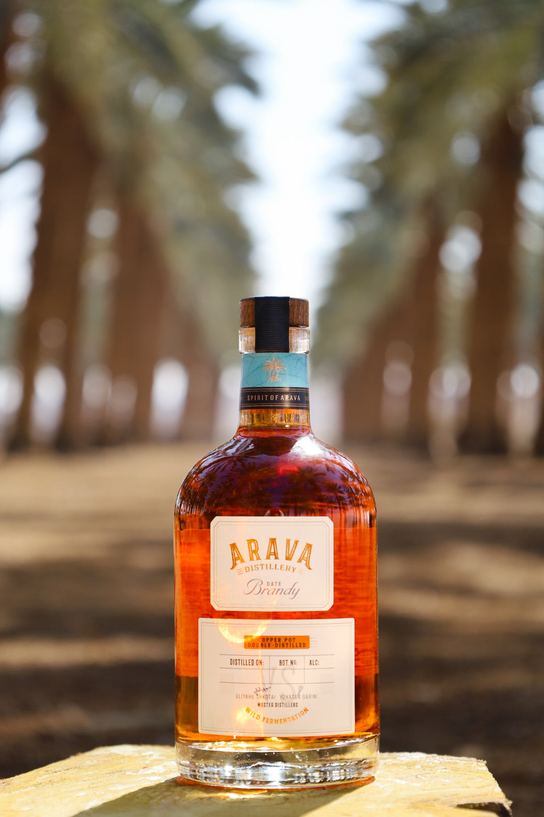 Date Brandy VS - ברנדי תמרים